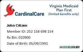 Primeiro cartão médico do plano USA Virginia Medicaid exemplo